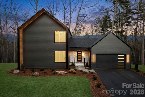 Photo of 643 Settlers Trail, Mars Hill, NC 28754 (MLS # 4383619)