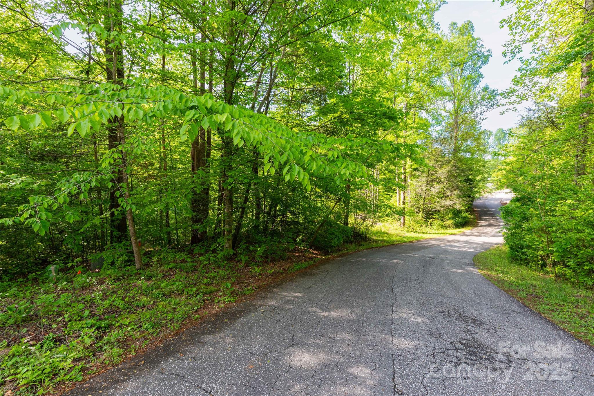 4659 Cedar Brook Lane 16