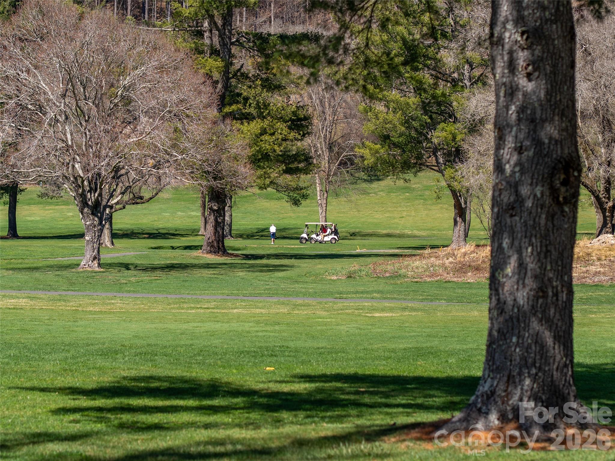 Maggie Valley Country Club Est - Residential