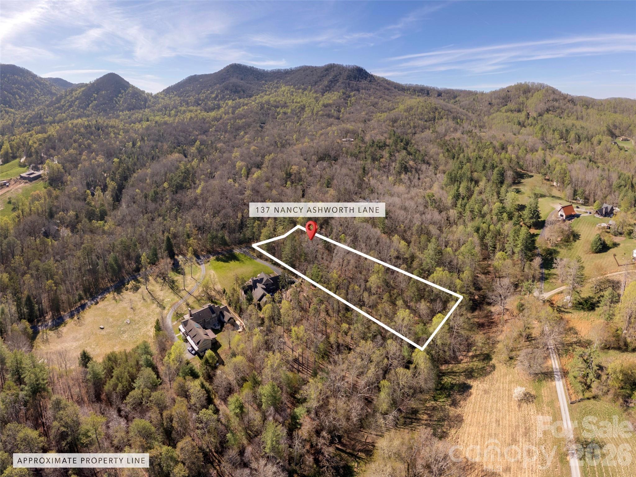 137 Nancy Ashworth Lane 13