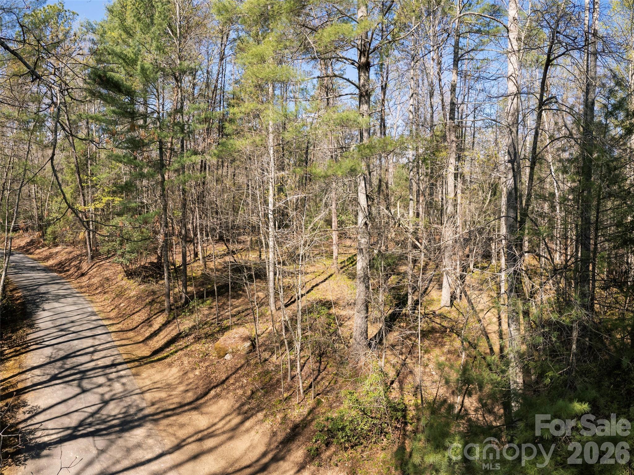 Drovers Road Preserve - Land