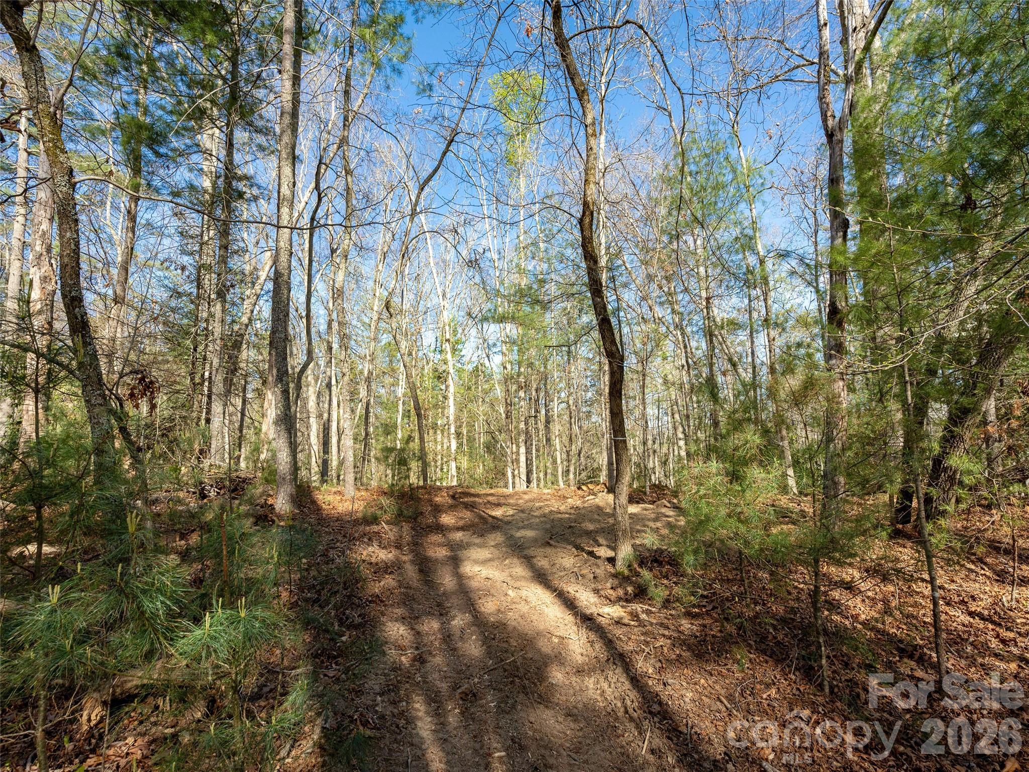 Drovers Road Preserve - Land