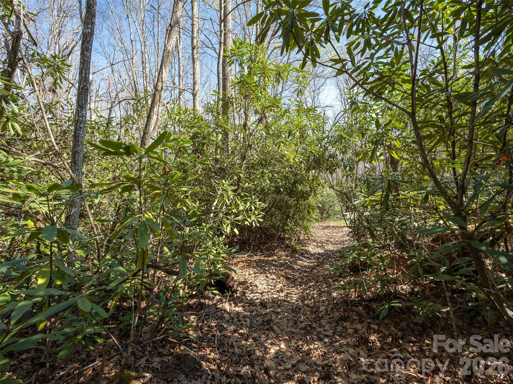 Drovers Road Preserve - Land