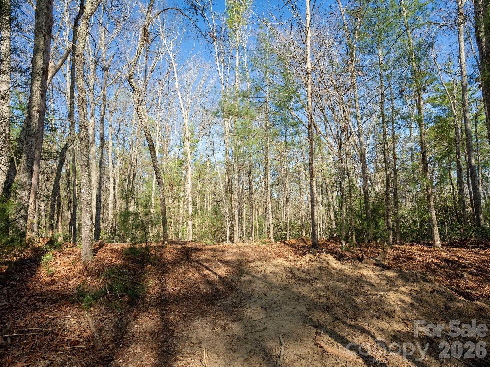Drovers Road Preserve - Land