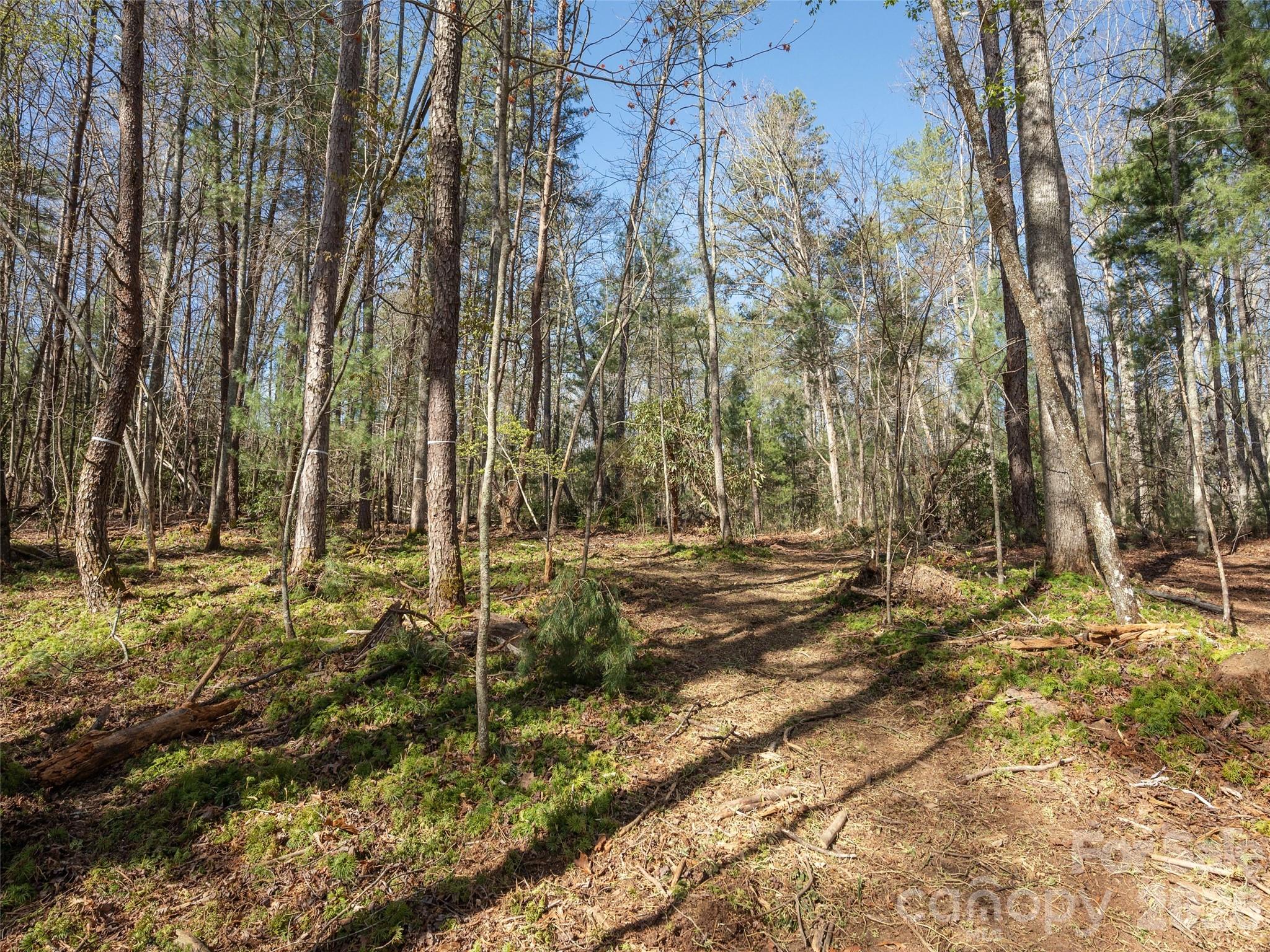 Drovers Road Preserve - Land