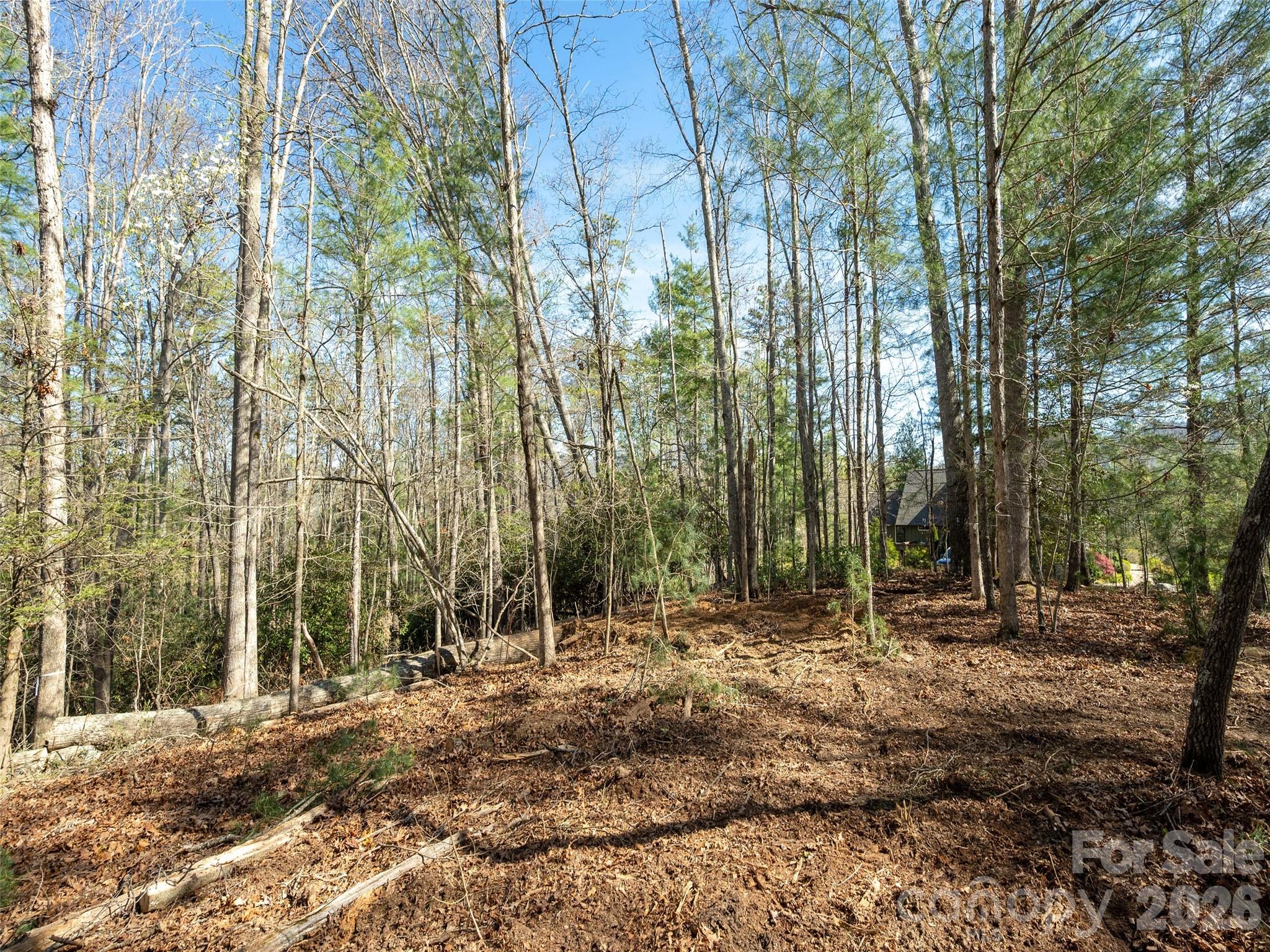 Drovers Road Preserve - Land
