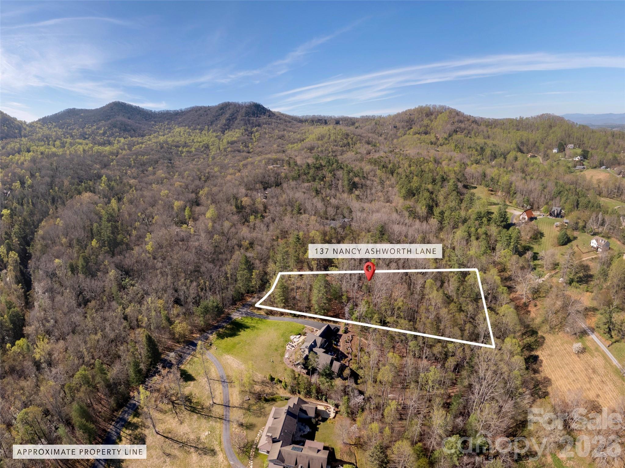 137 Nancy Ashworth Lane 13