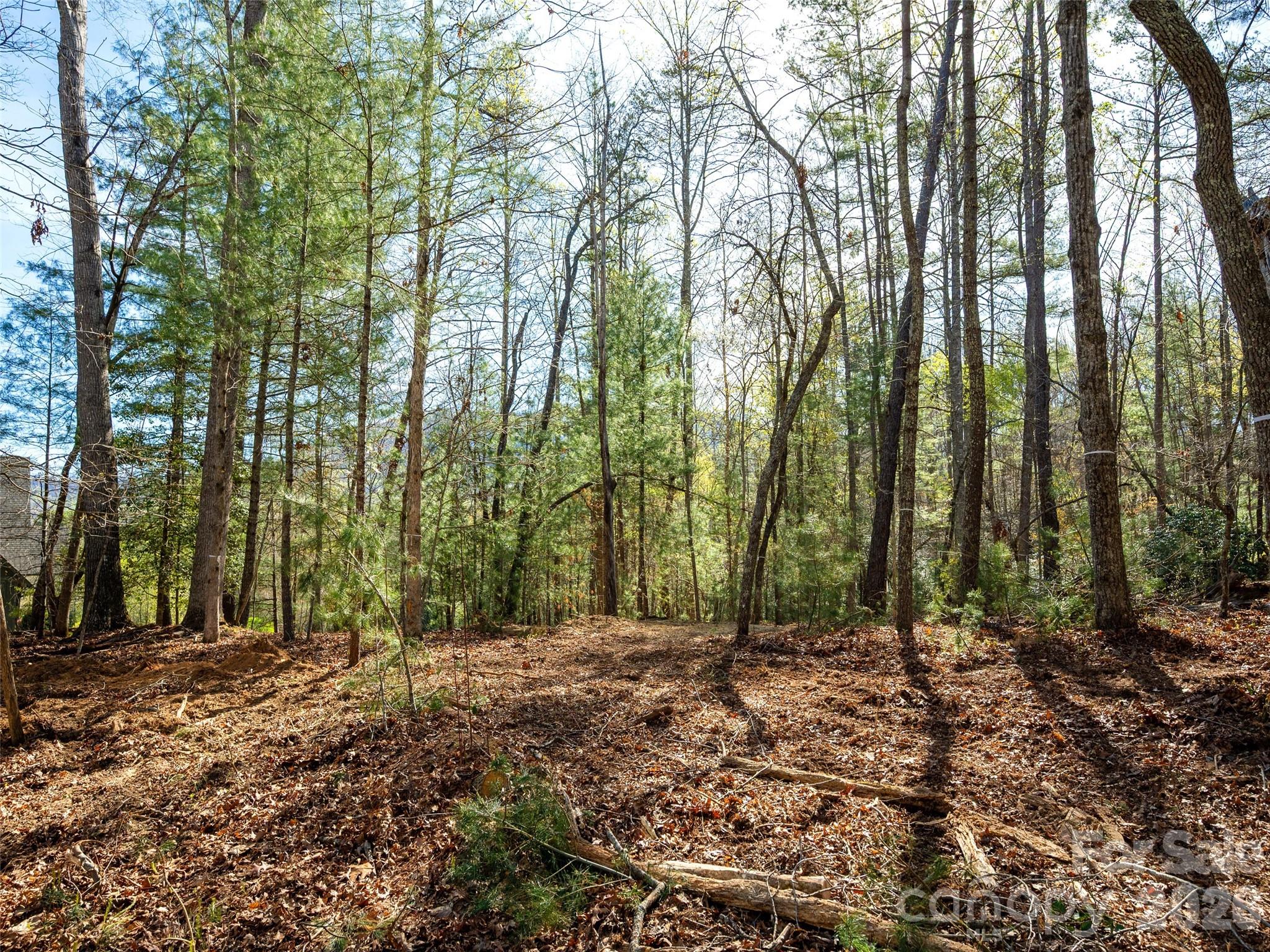 Drovers Road Preserve - Land