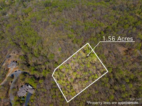 1030 Chippawa Drive 68 Arden NC 28704