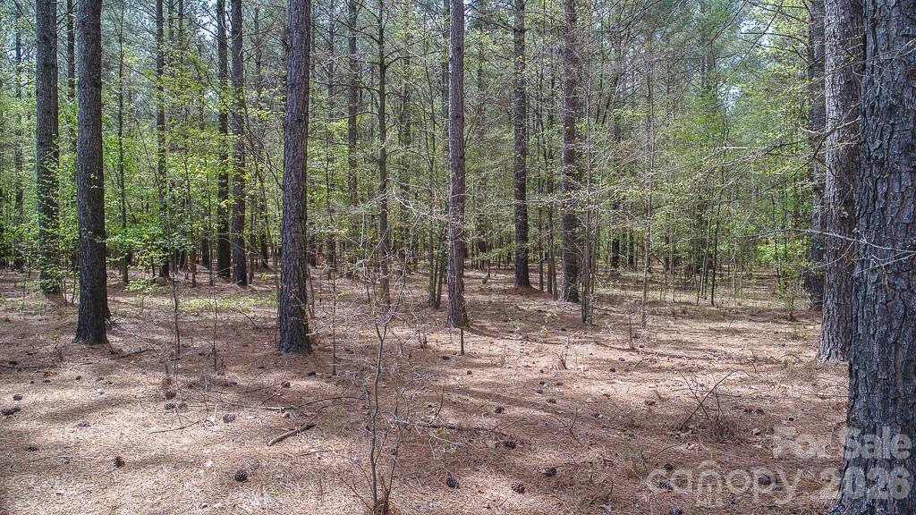 6307 Highway 205 Highway 7