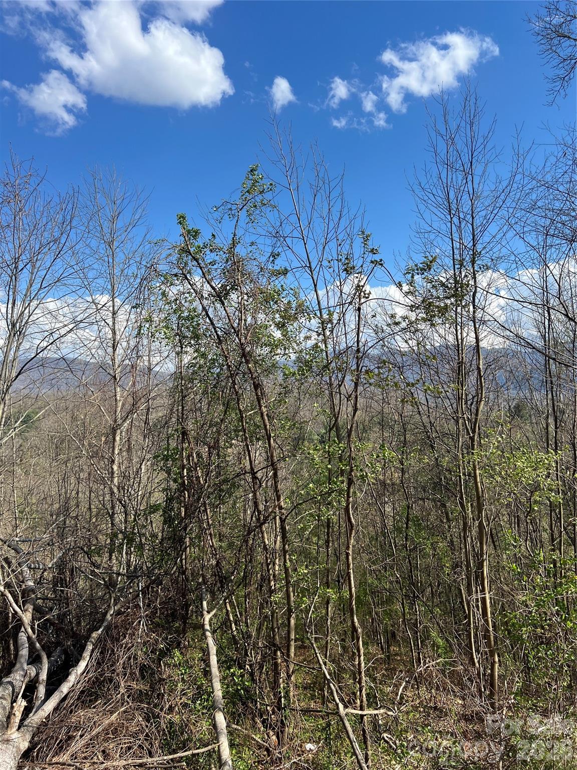 Bradley Heights - Residential