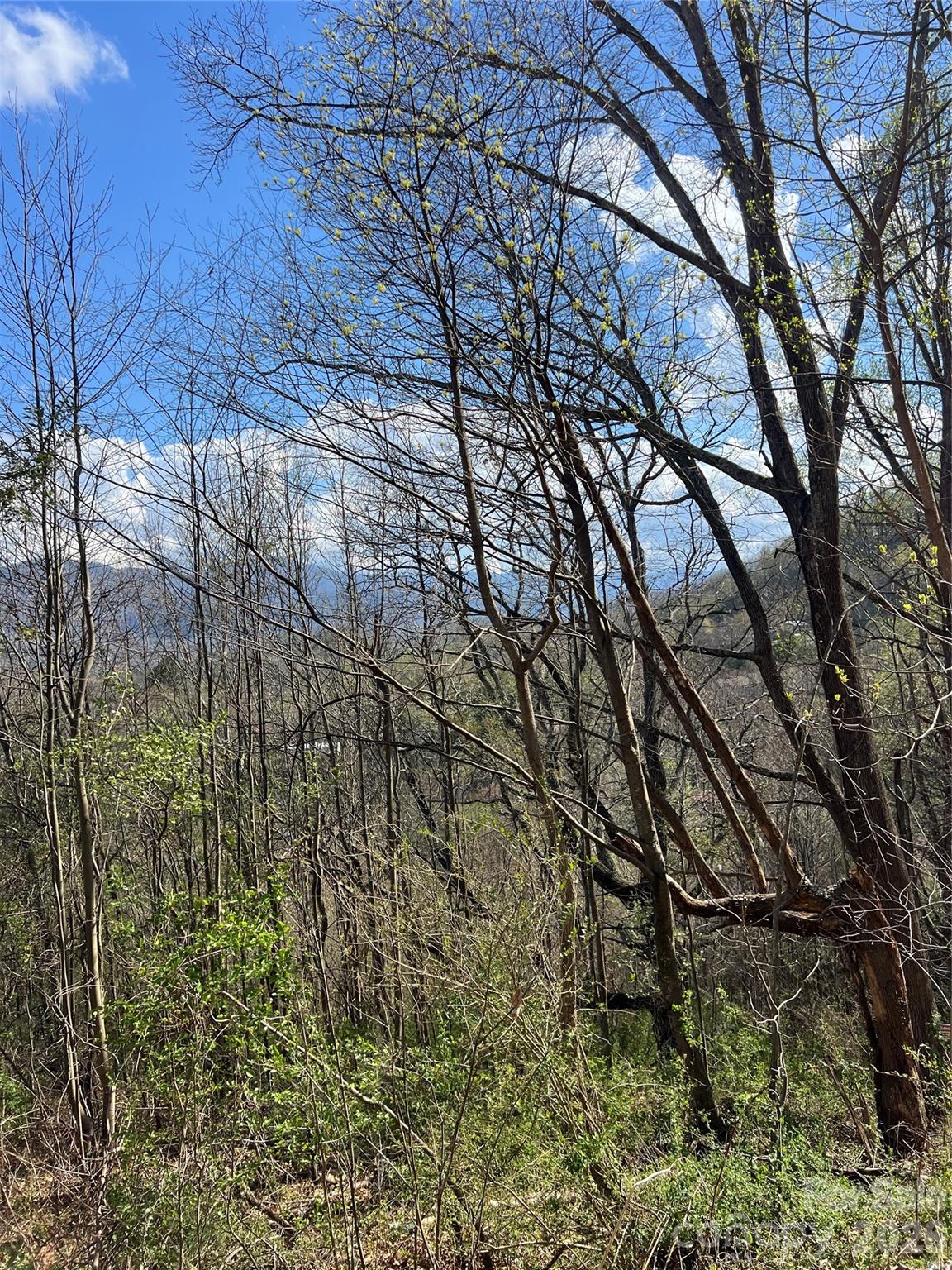 Bradley Heights - Residential