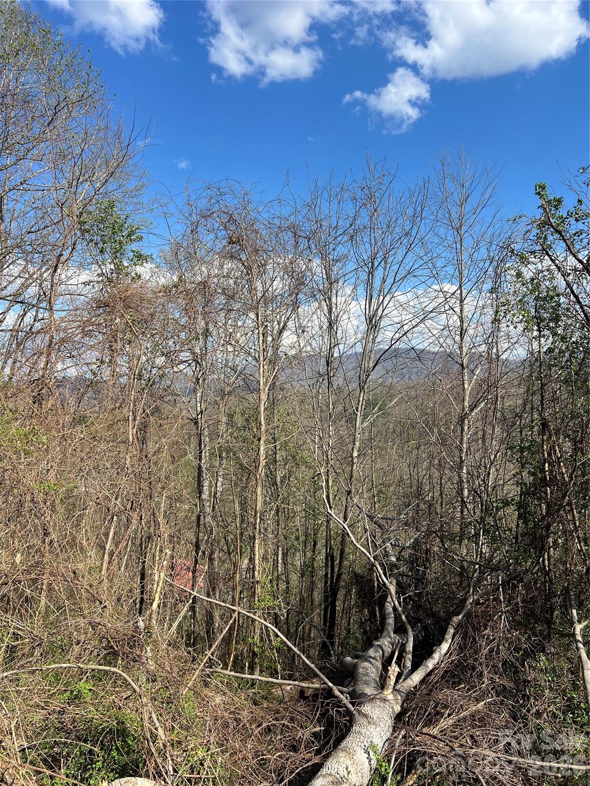 Bradley Heights - Residential