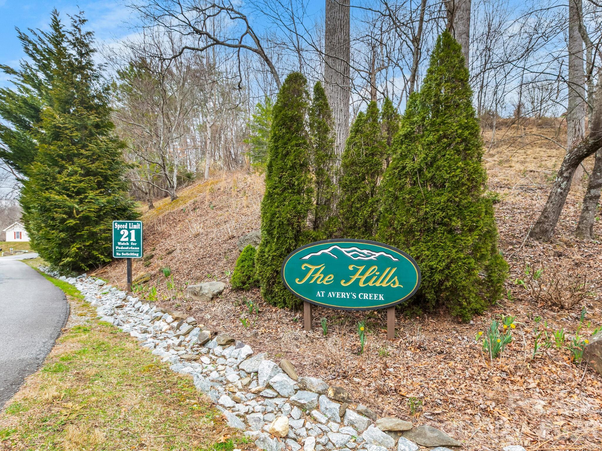 The Hills At Averys Creek - Residential