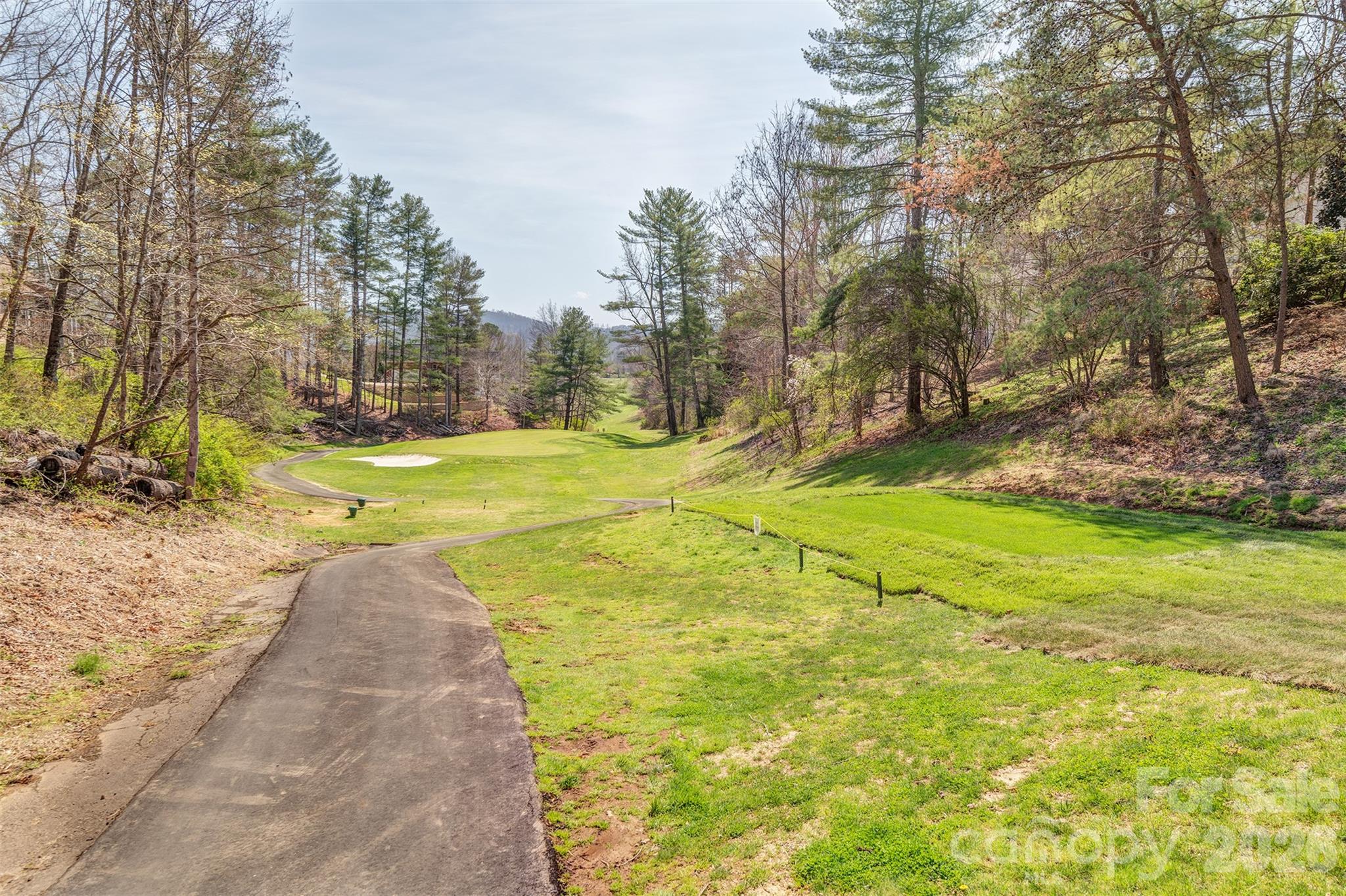 Reems Creek Golf Community - Residential
