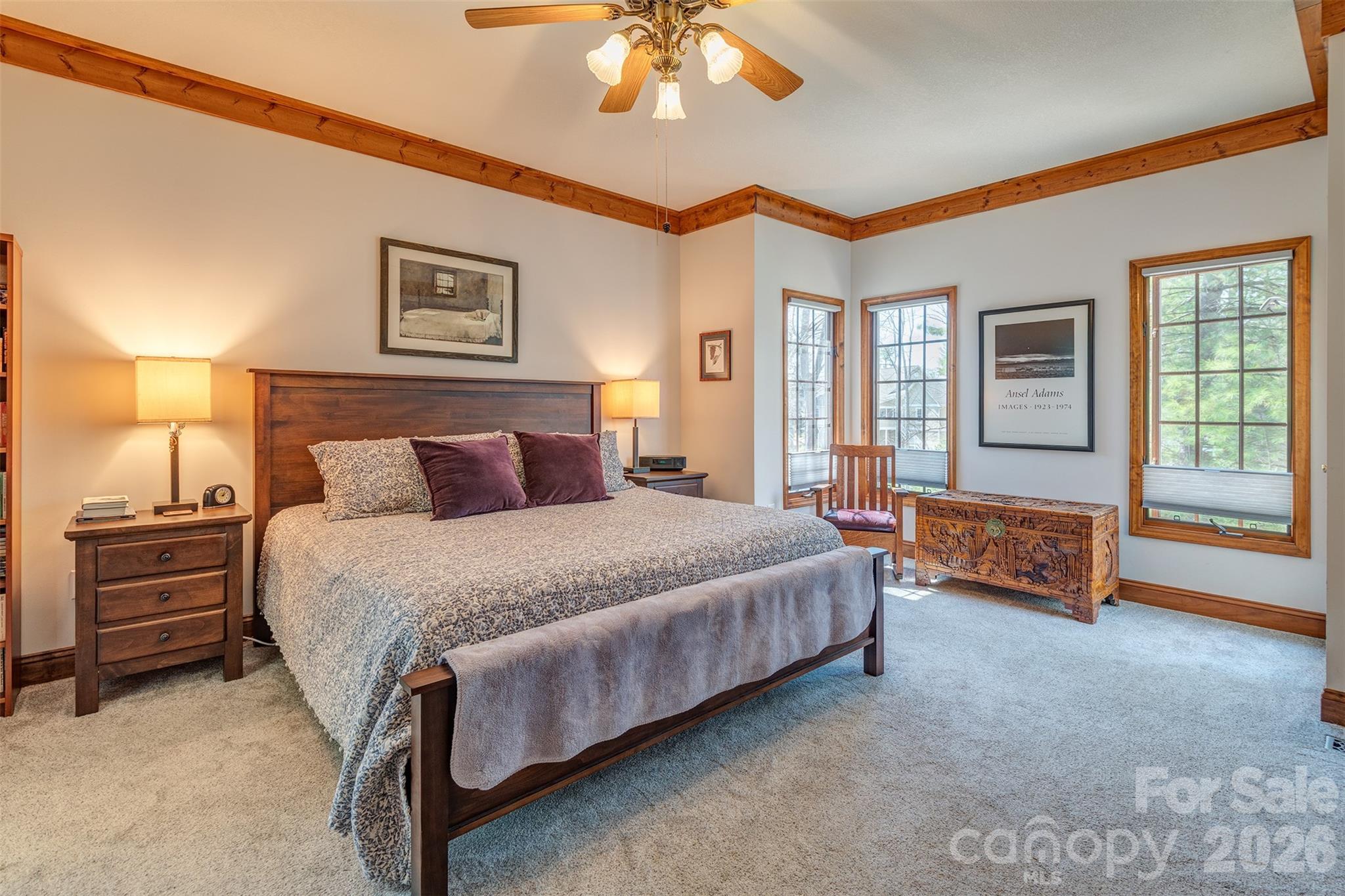 Reems Creek Golf Community - Residential