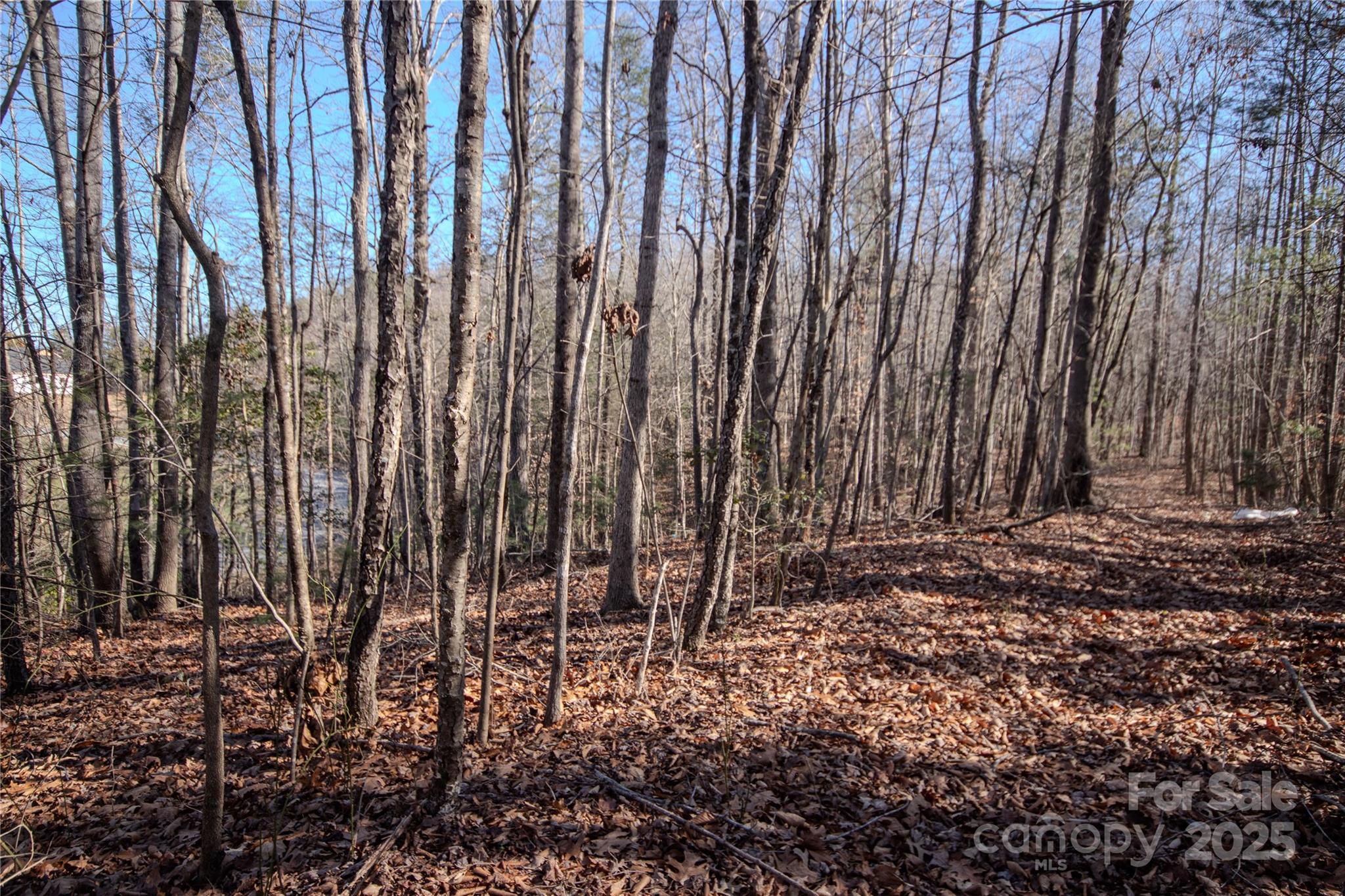 Lot# 81 Huntington Woods Street SE 81