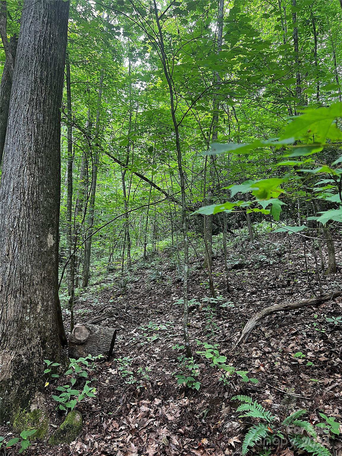 00 Jarrell Loop