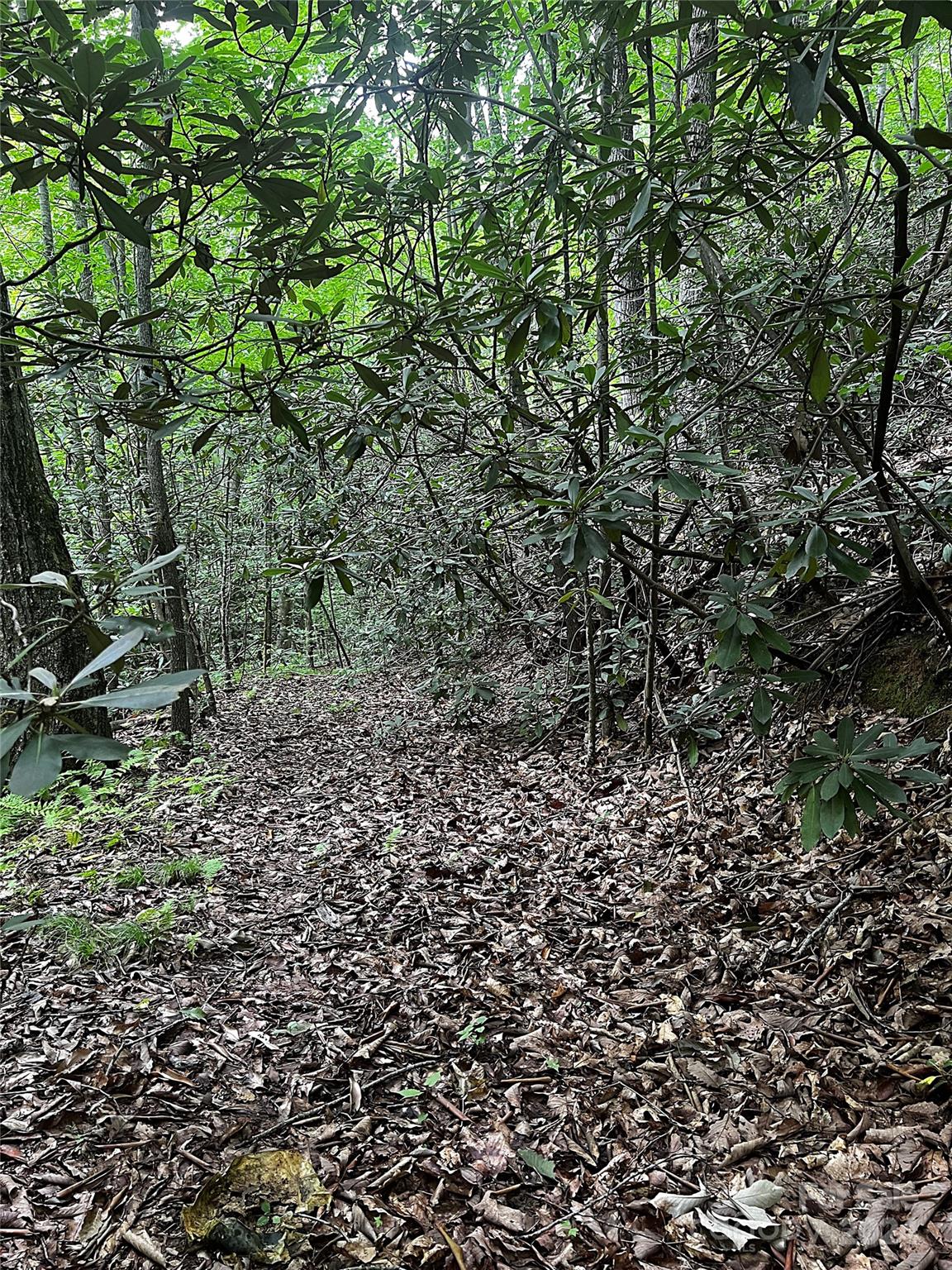 00 Jarrell Loop