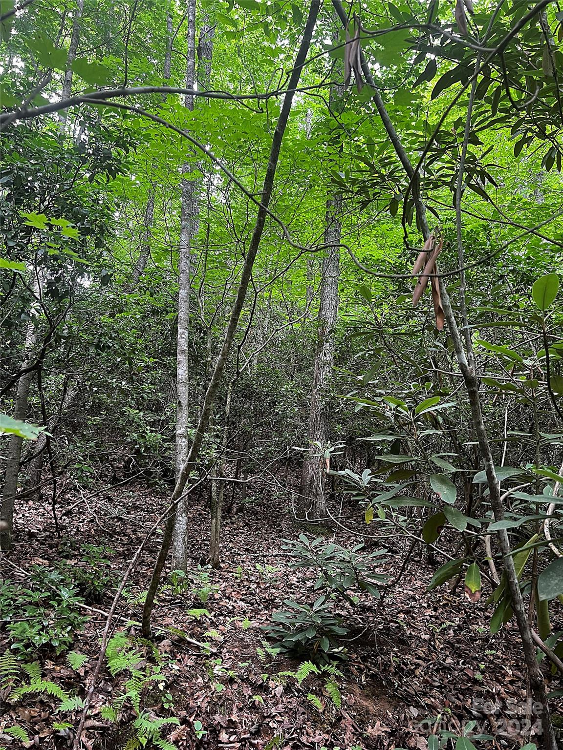 00 Jarrell Loop