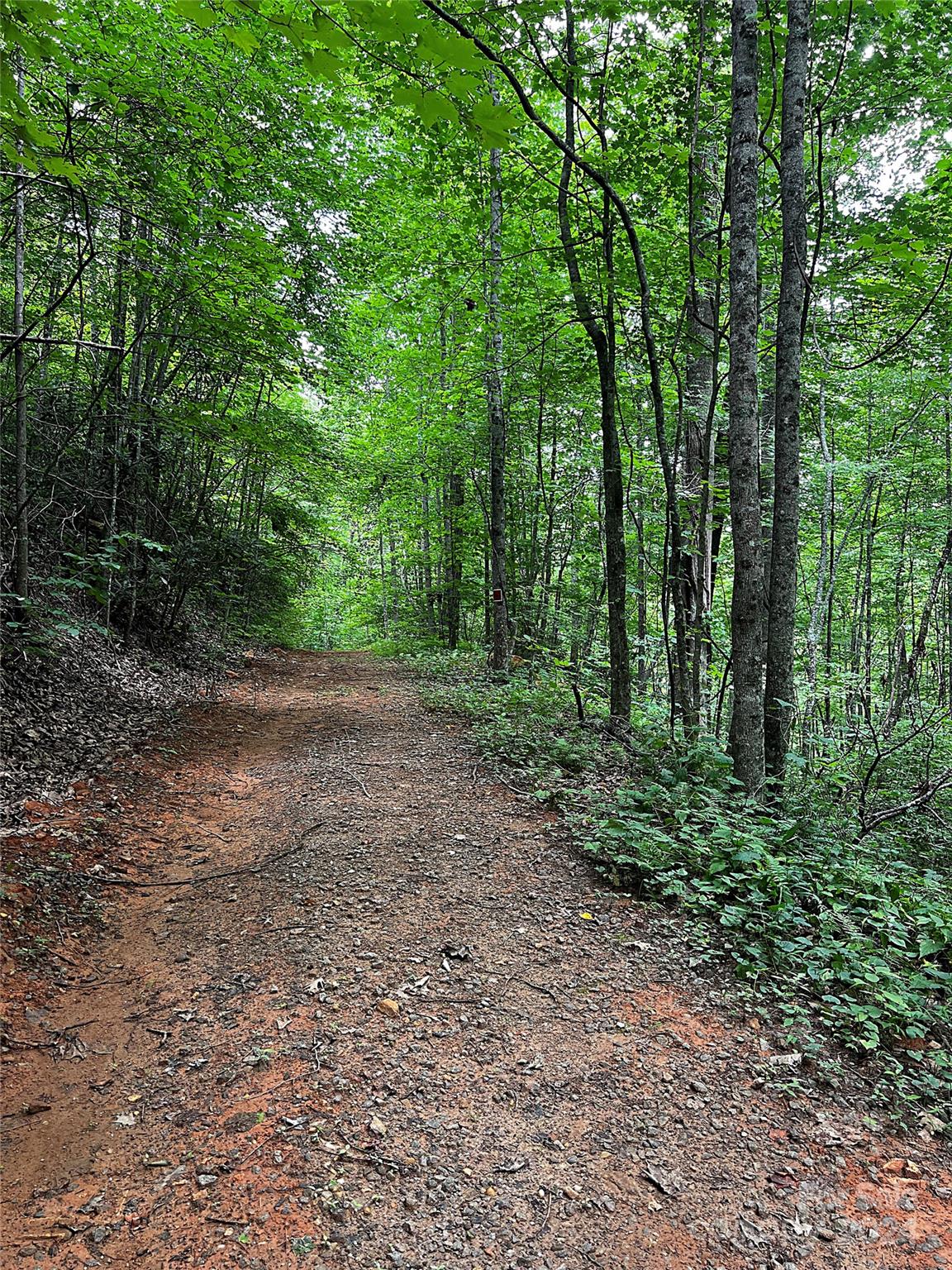 00 Jarrell Loop