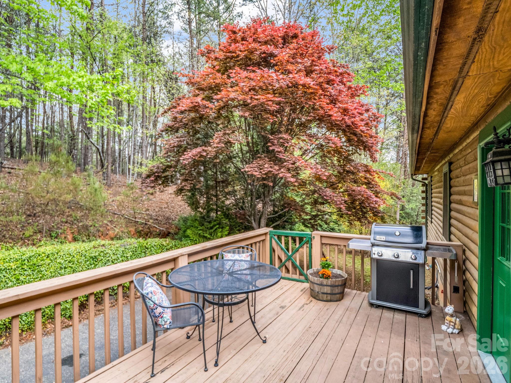 Rumbling Bald on Lake Lure - Residential
