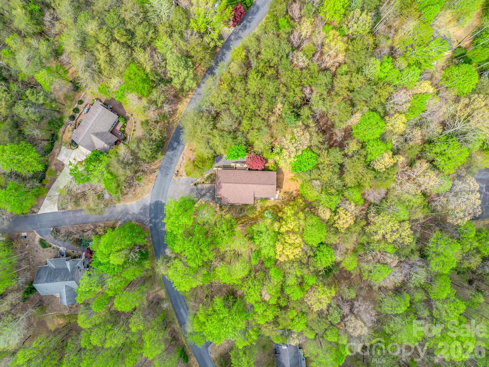 Rumbling Bald on Lake Lure - Residential