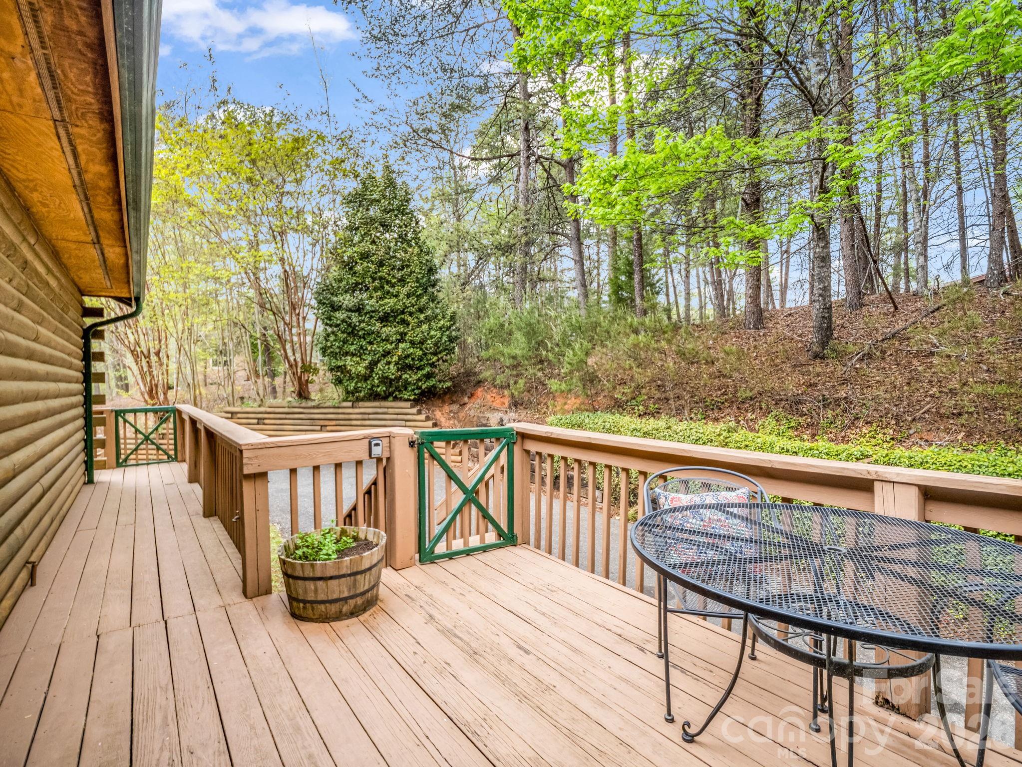 Rumbling Bald on Lake Lure - Residential