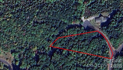 0 Pioneer Gate Drive 55 Bostic NC 28018