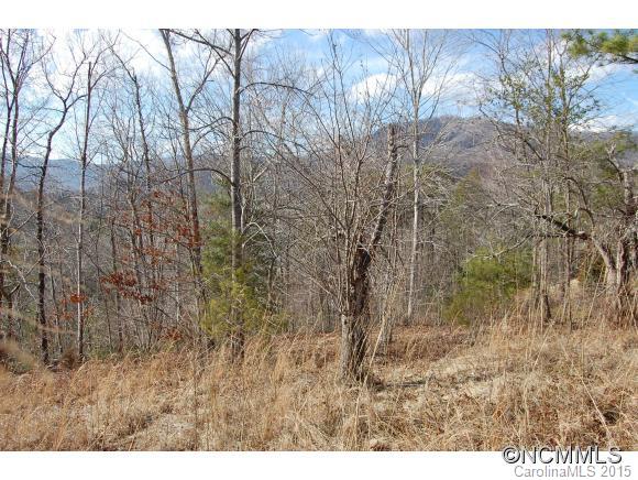 Tranquility at Lake Lure - Land