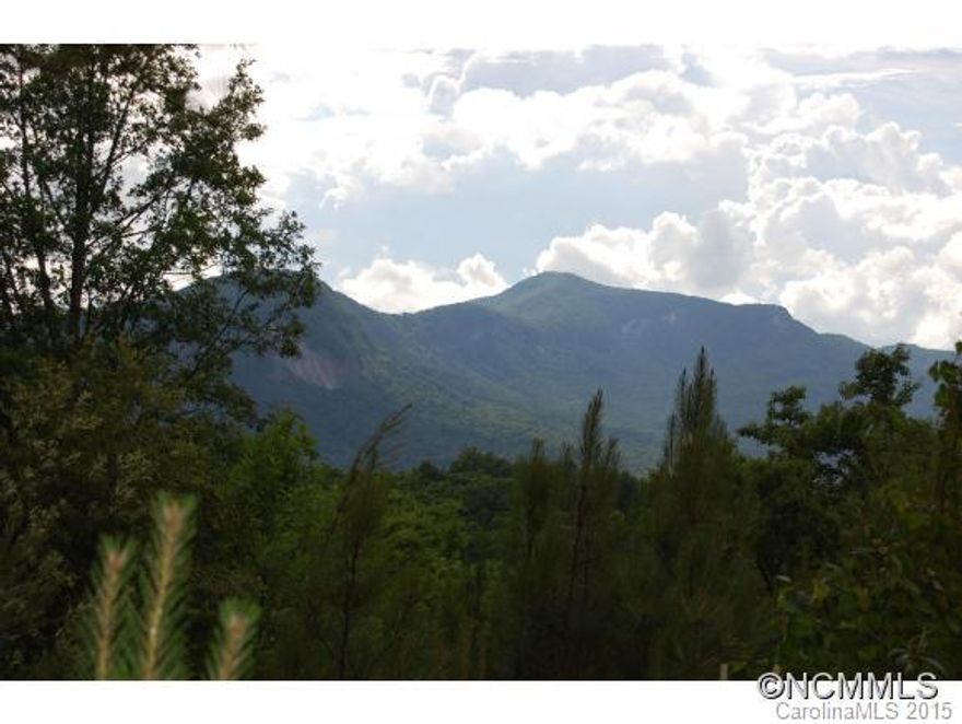 AMAZING VIEWS OF RUMBLING BALD MOUNTAIN & CHIMNEY ROCK from this 1.4 ACRE property!You will love the "grassy knoll" building site facing western mountain ranges.Views will only improve when you build!Gated community;UG electric;Paved roads.Convenient to all area activities,including (3) golf courses,Chimney Rock State Park,horse-back riding,zip-lining,restaurants.Buffalo Creek walk/bike park also nearby.Surveyed/3 bdrm septic permit. A MUST SEE!