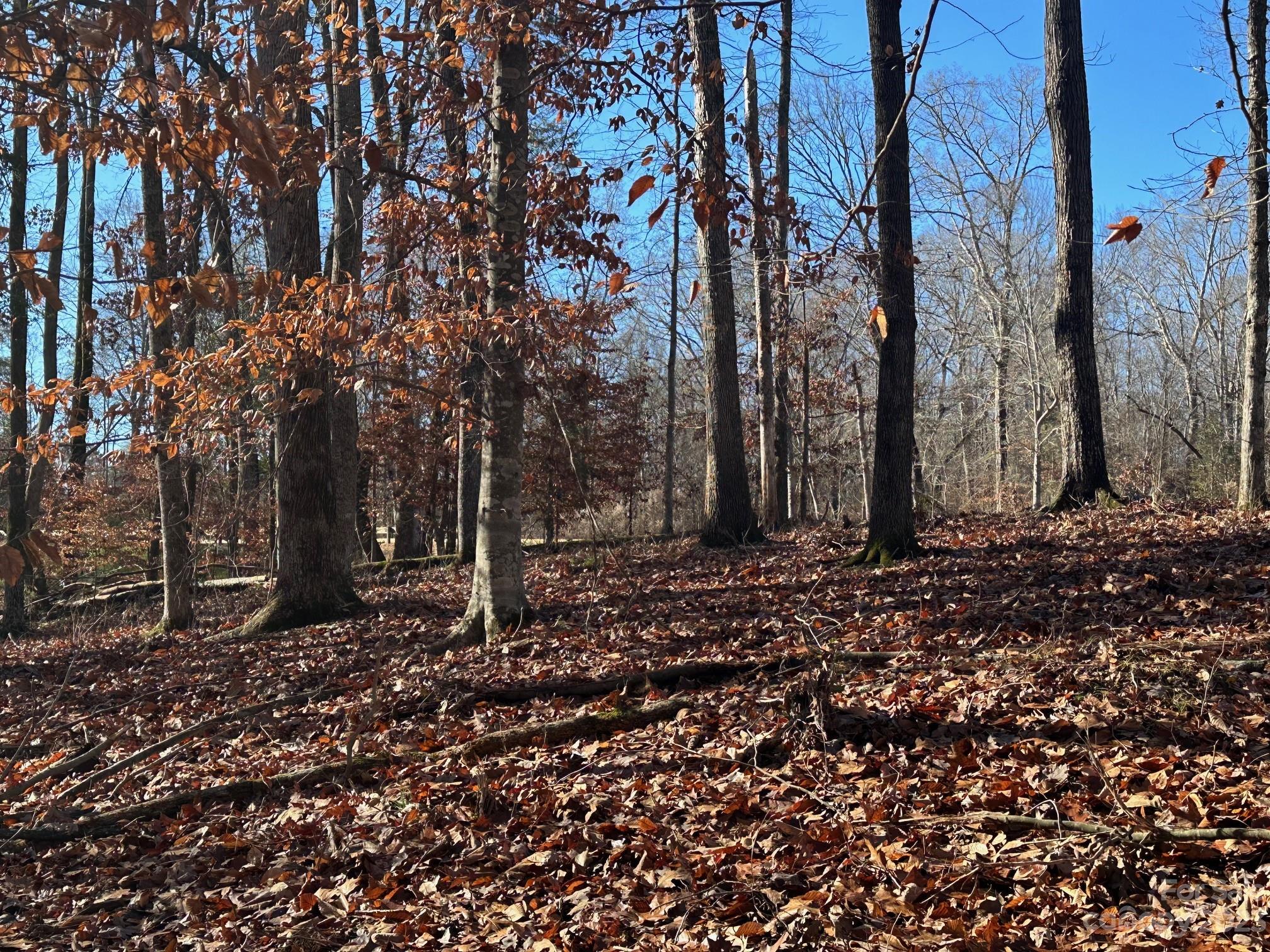 LOT 74 Edgewater Drive 74