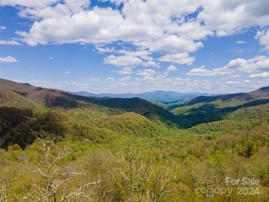 109 GOLDENLEAF RD, MARS HILL, NC 28754 - Image ff304a2a155a8268bc979008316f42e4/2081518072