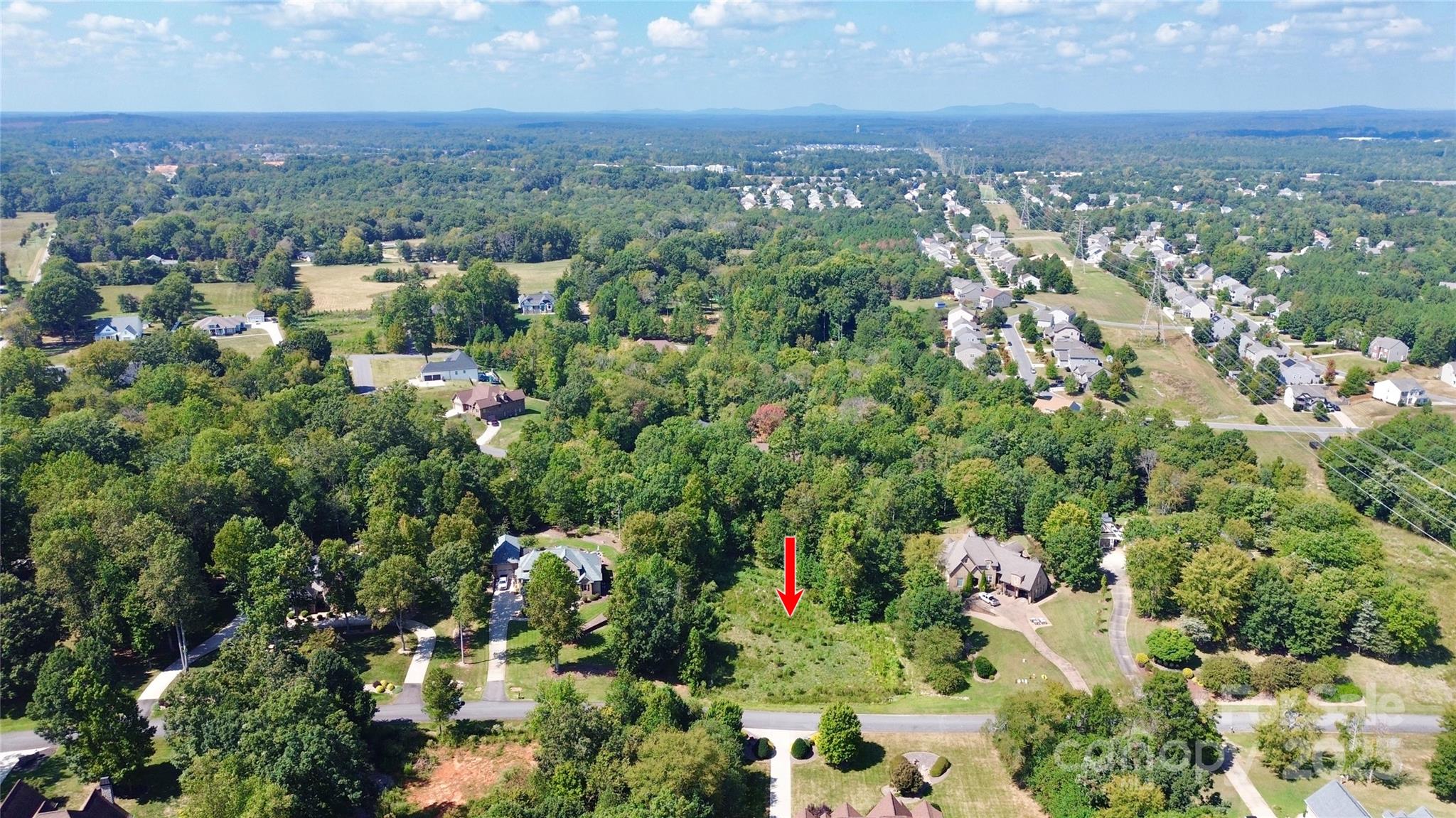 733 Cooks Cove Ridge 20