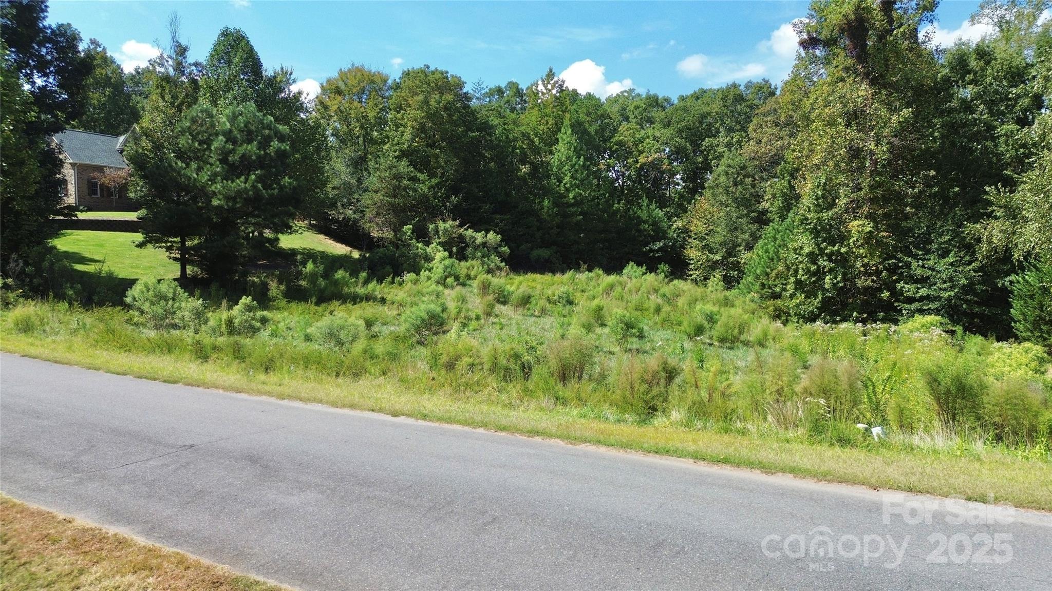 733 Cooks Cove Ridge 20