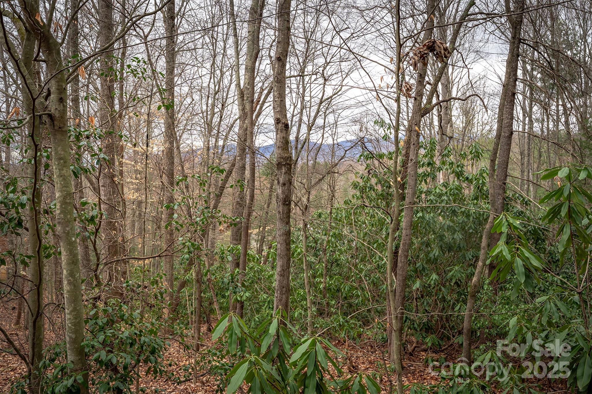 Hunting Lodge Acres - Land