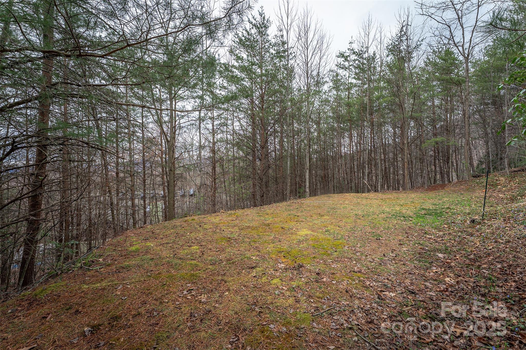 Hunting Lodge Acres - Land