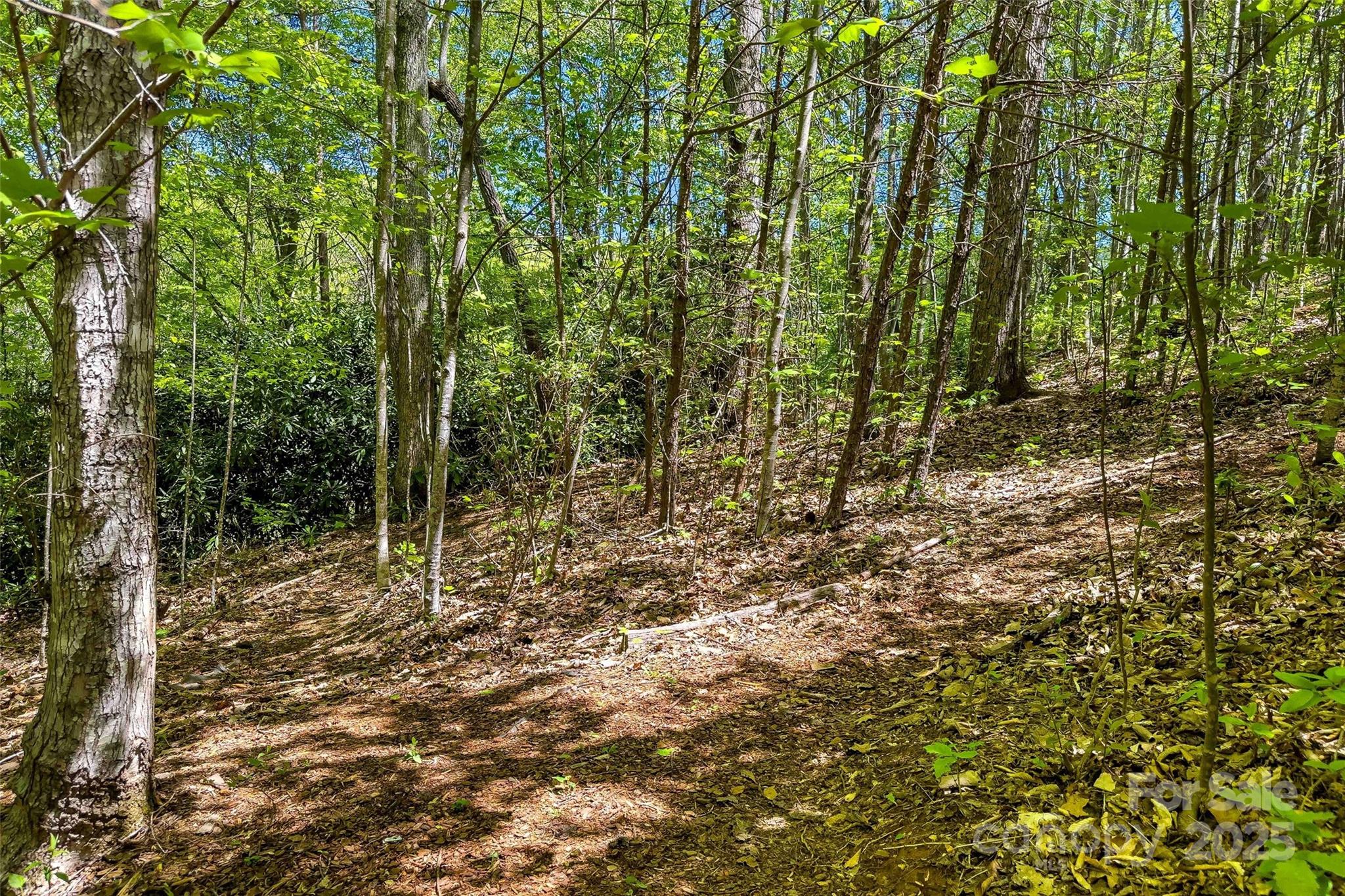Hunting Lodge Acres - Land