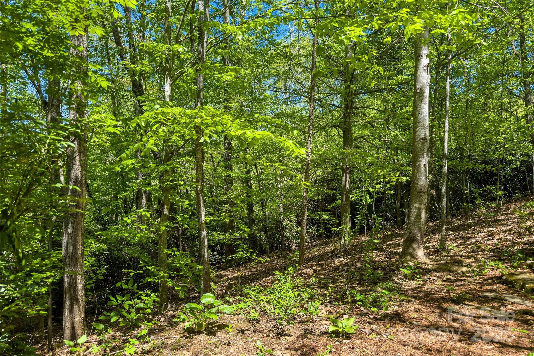 tbd Hunting Lodge Drive 9