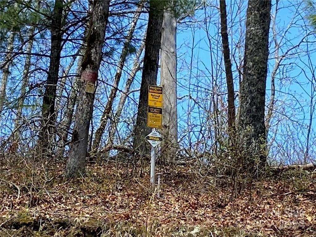 Lot 3 on Saturn Way 3