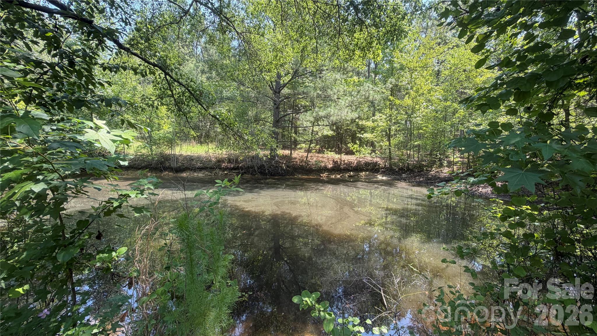 809 Campbell Road