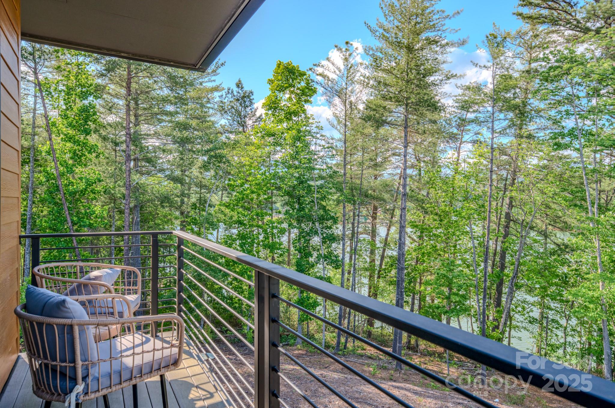 The Peninsula at Lake James - Residential