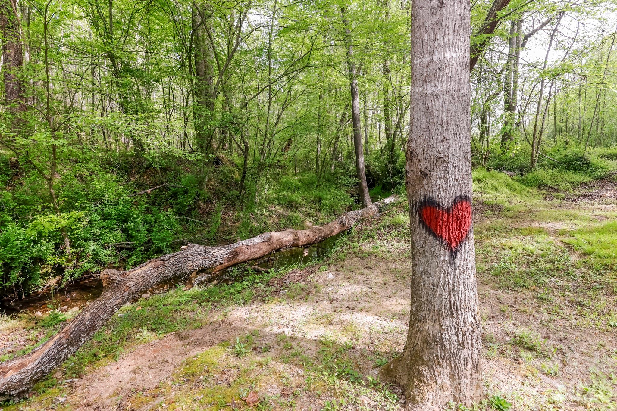 Shady Creek - Residential