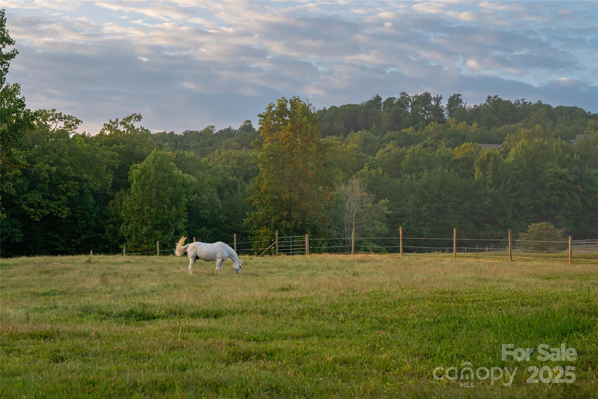 Hughes Creek Preserve - Residential