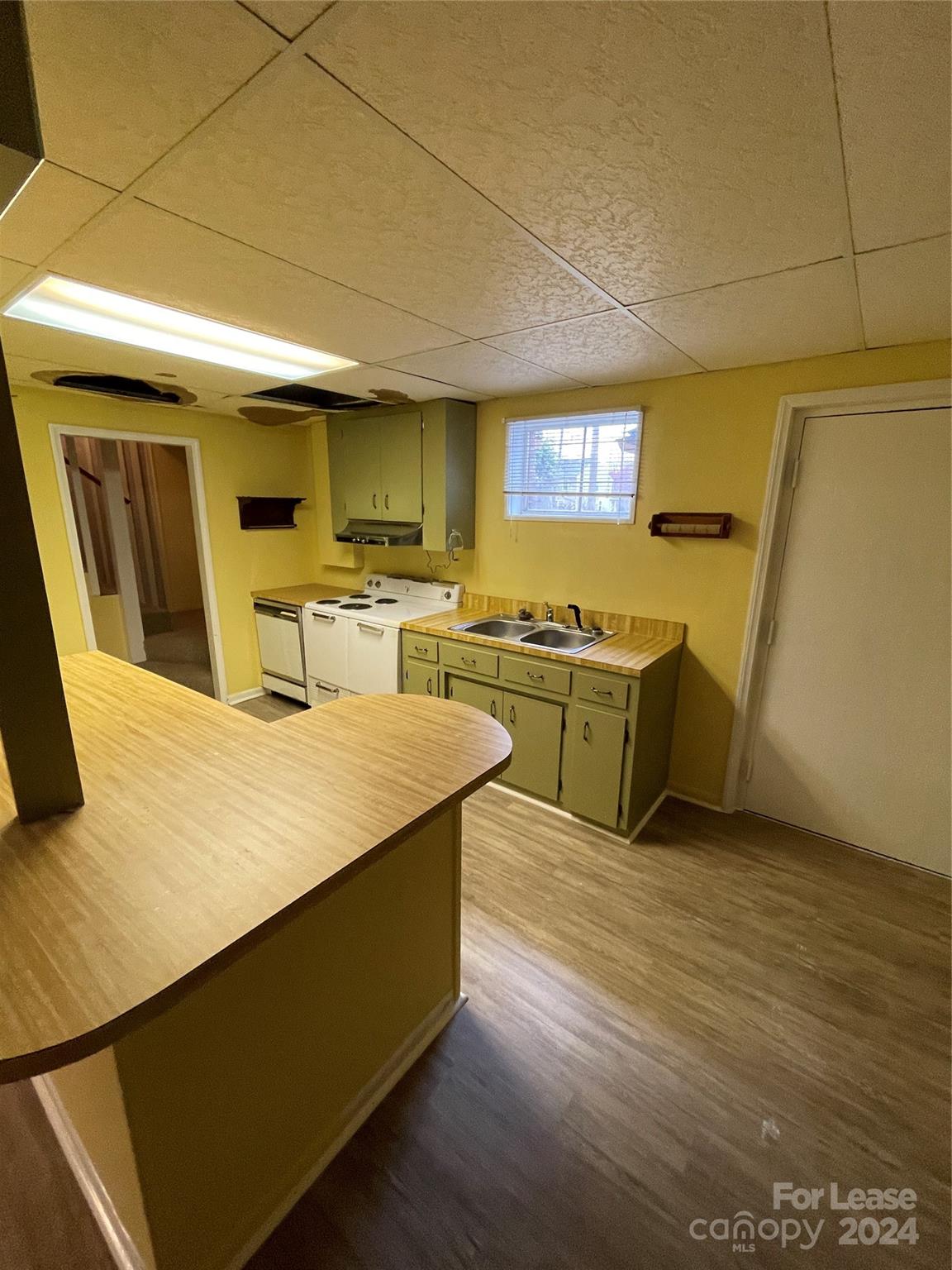 None - Residential Lease