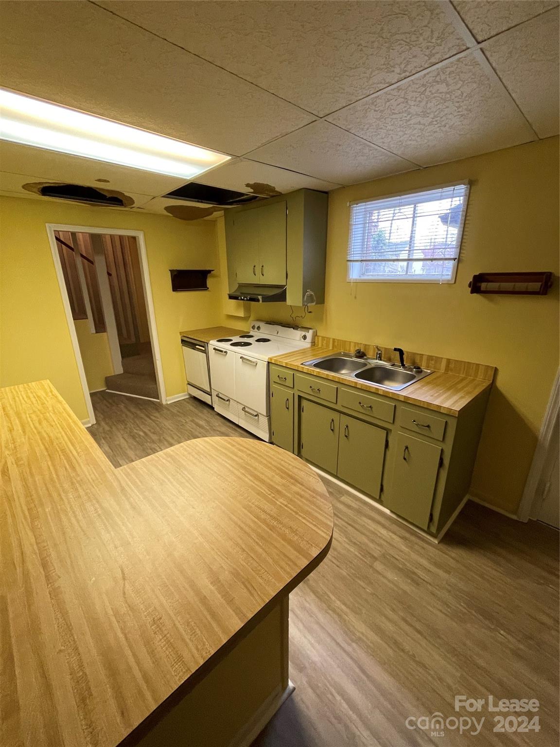 None - Residential Lease