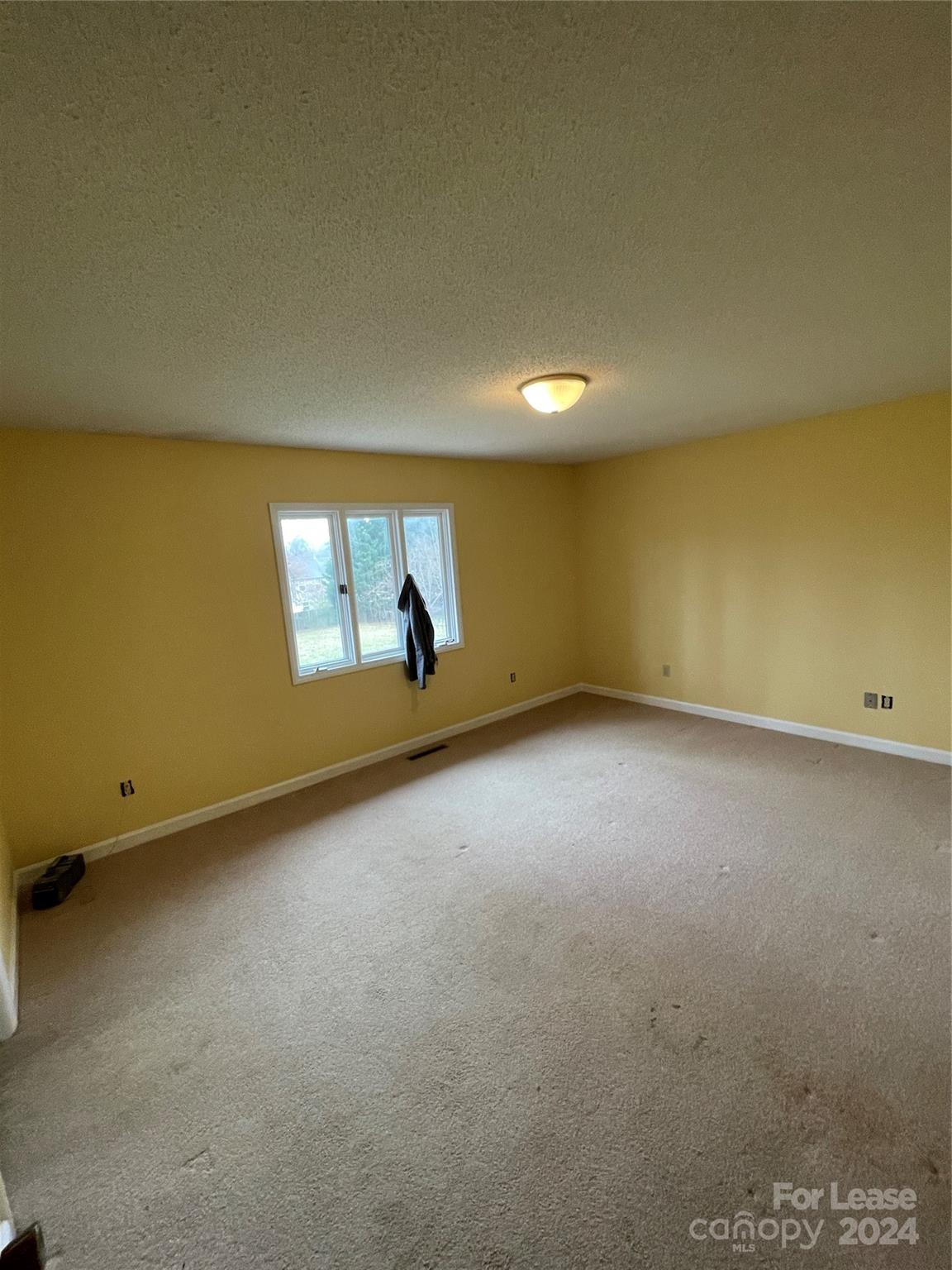 None - Residential Lease