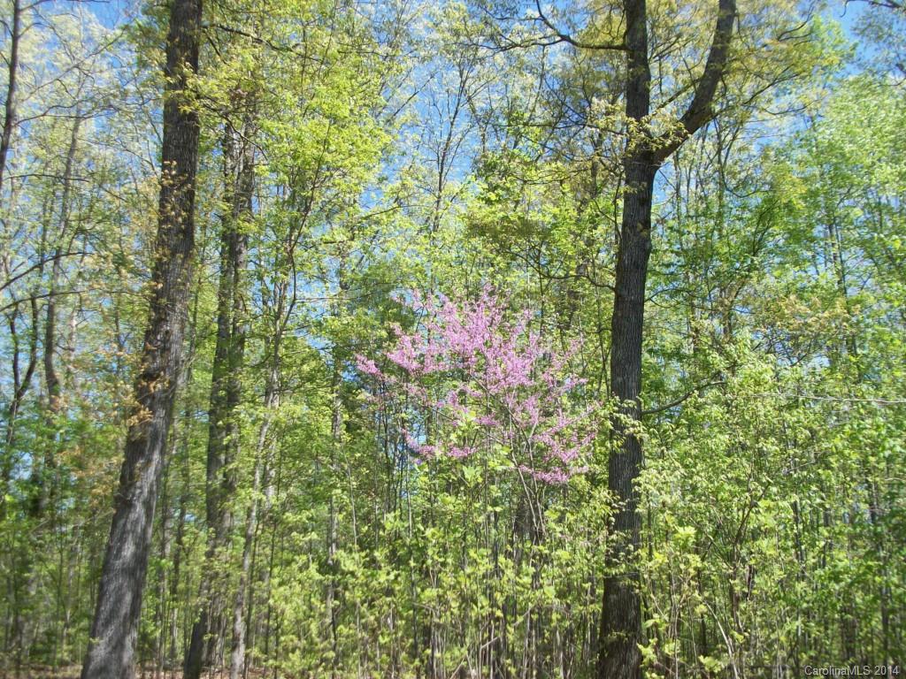 Berkshire - Land