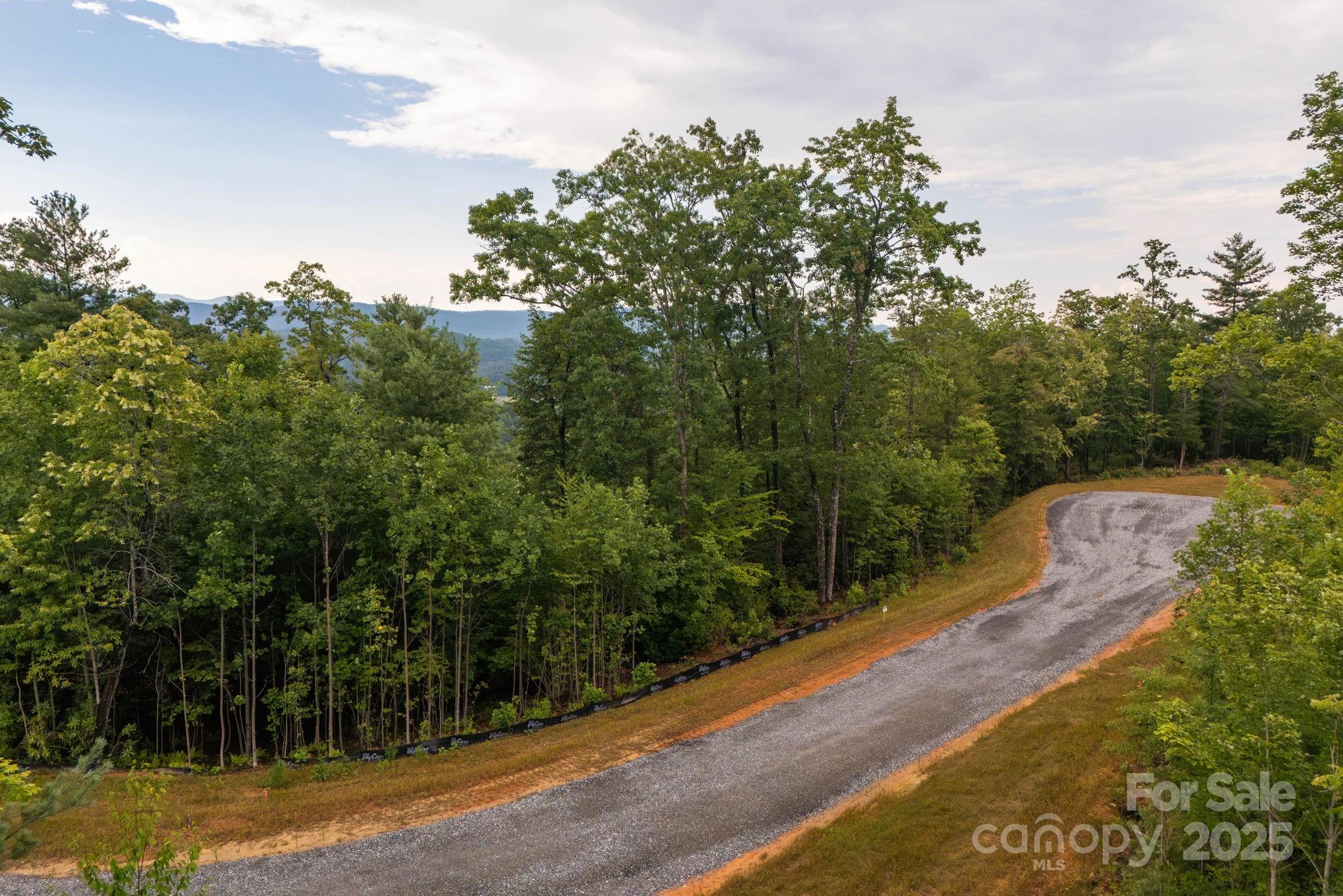 Lot # 3 Masterpiece View Drive 3