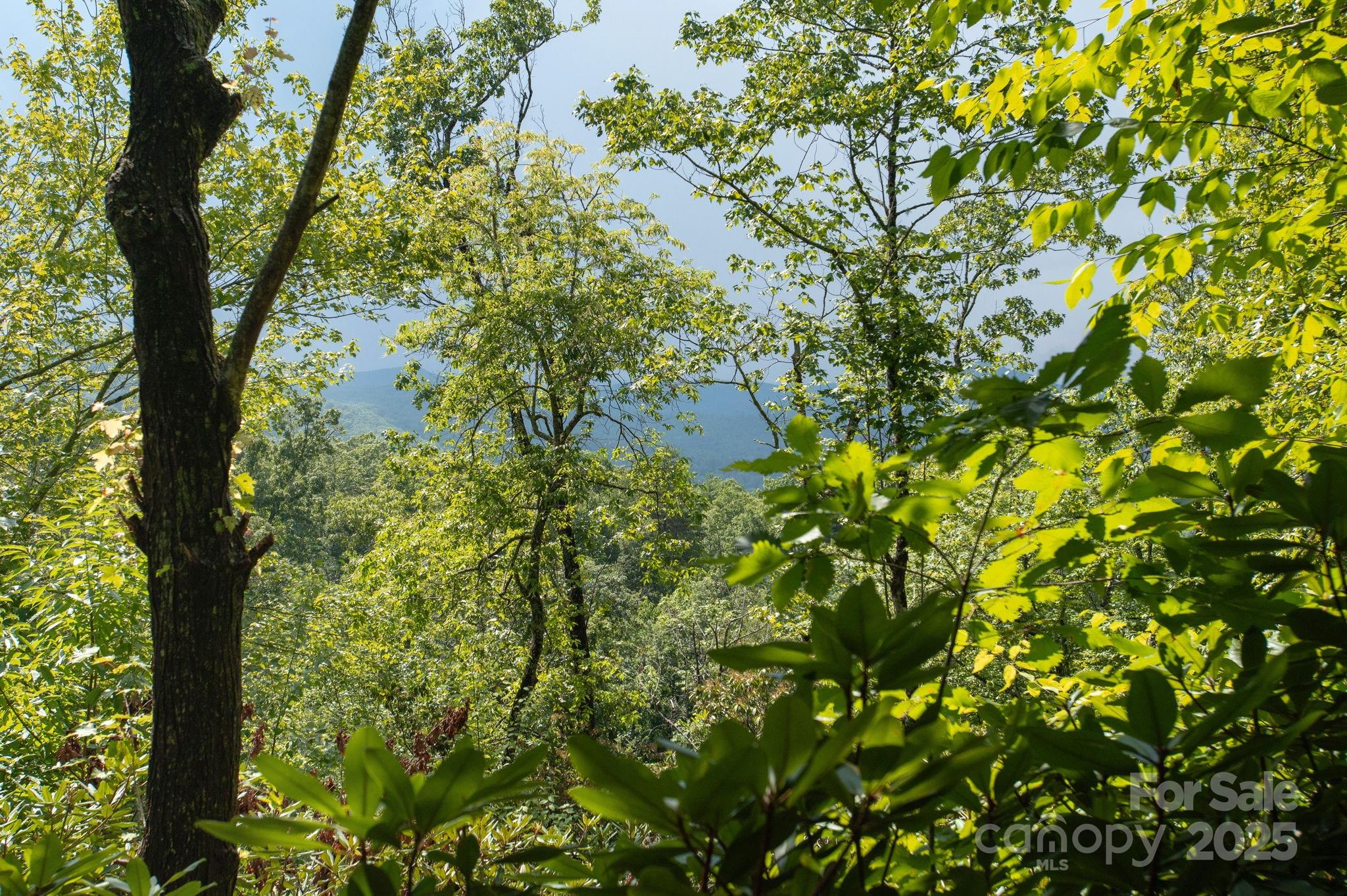 Masterpiece Ridge - Land